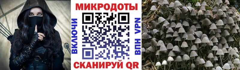 Галлюциногенные грибы Cubensis  купить наркотик  Янаул 